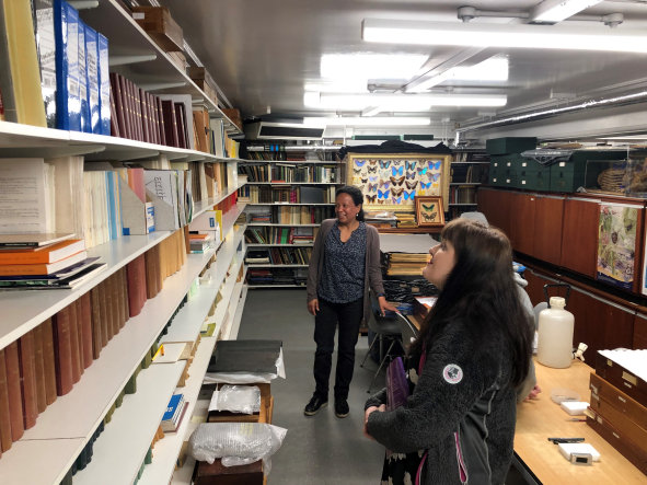 Two women look at books on a shelf